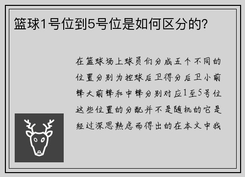 篮球1号位到5号位是如何区分的？